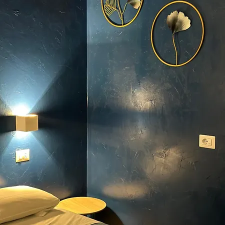 Sylva كاتوليكا