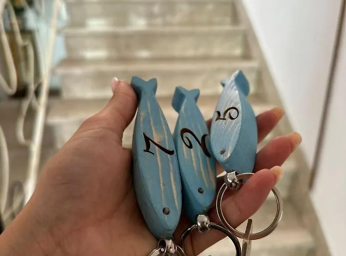 فندق مبيت وإفطار Sylva كاتوليكا