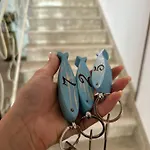 Bed & Breakfast Sylva Cattolica