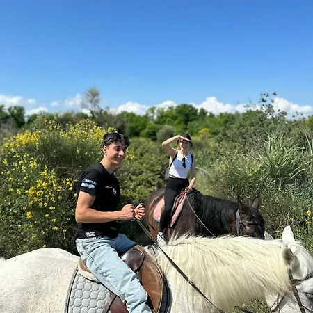 Sylva קאטוליקה