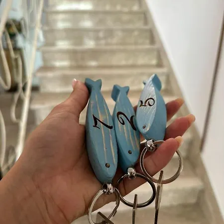 Bed & Breakfast Sylva Cattolica